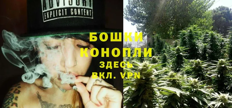 Каннабис Ganja  Рыльск 